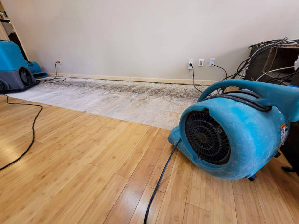 Professional Sewage Cleanup technician working in Redwood City, CA